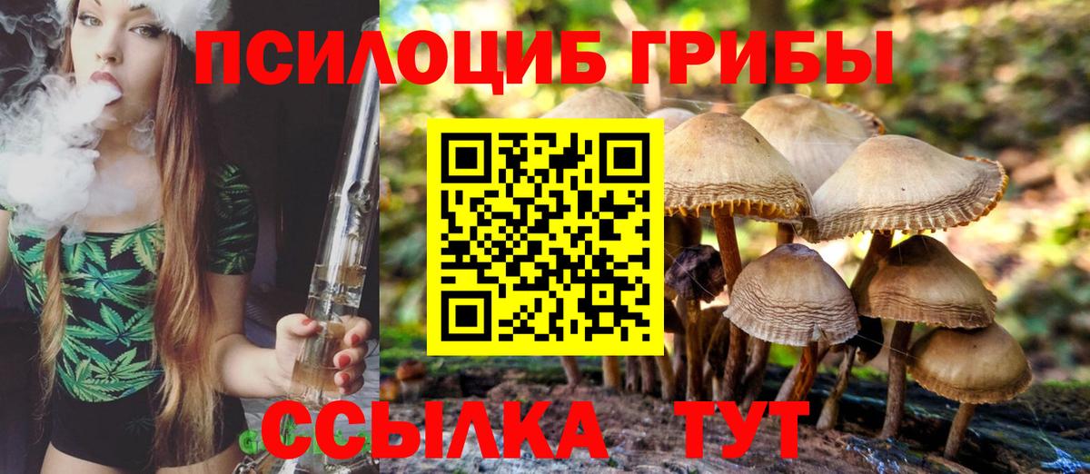 Ликино-Дулёво  Псилоцибиновые грибы Psilocybine cubensis  Вход с VPN 