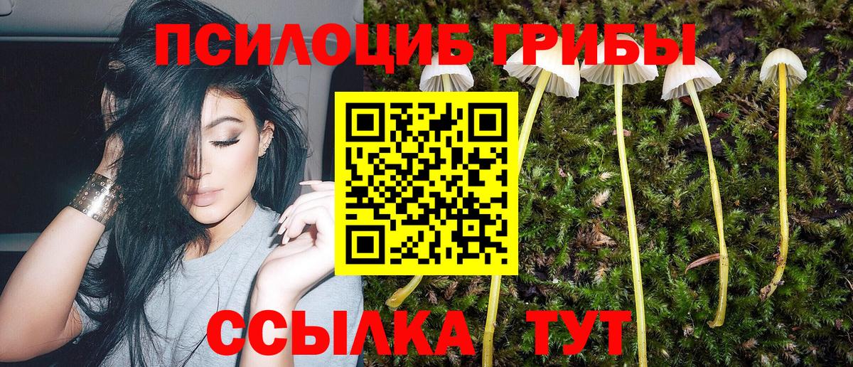 Галлюциногенные грибы Cubensis Ликино-Дулёво